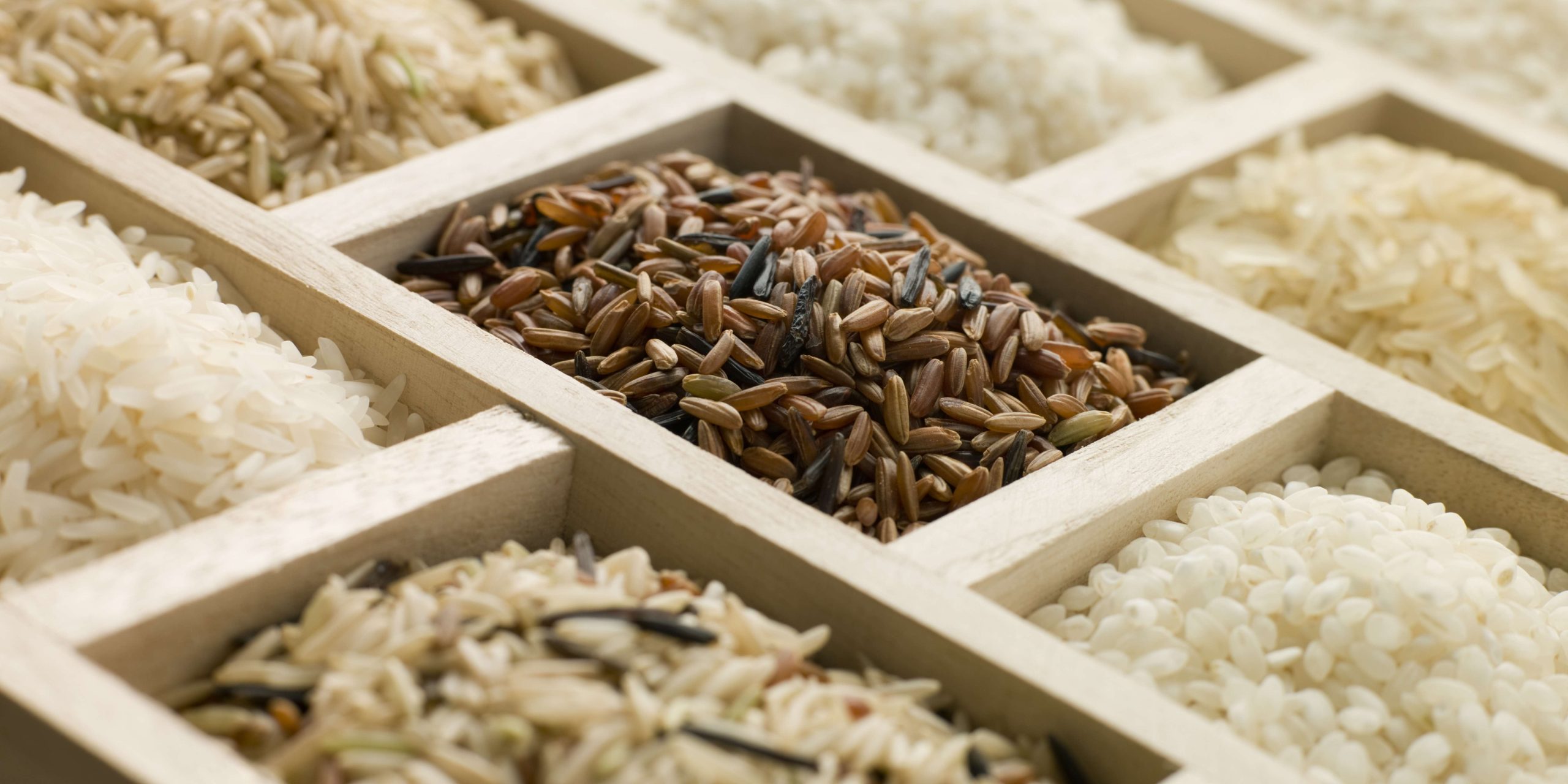 Premium Indian rice exporter supplying high-quality rice worldwide