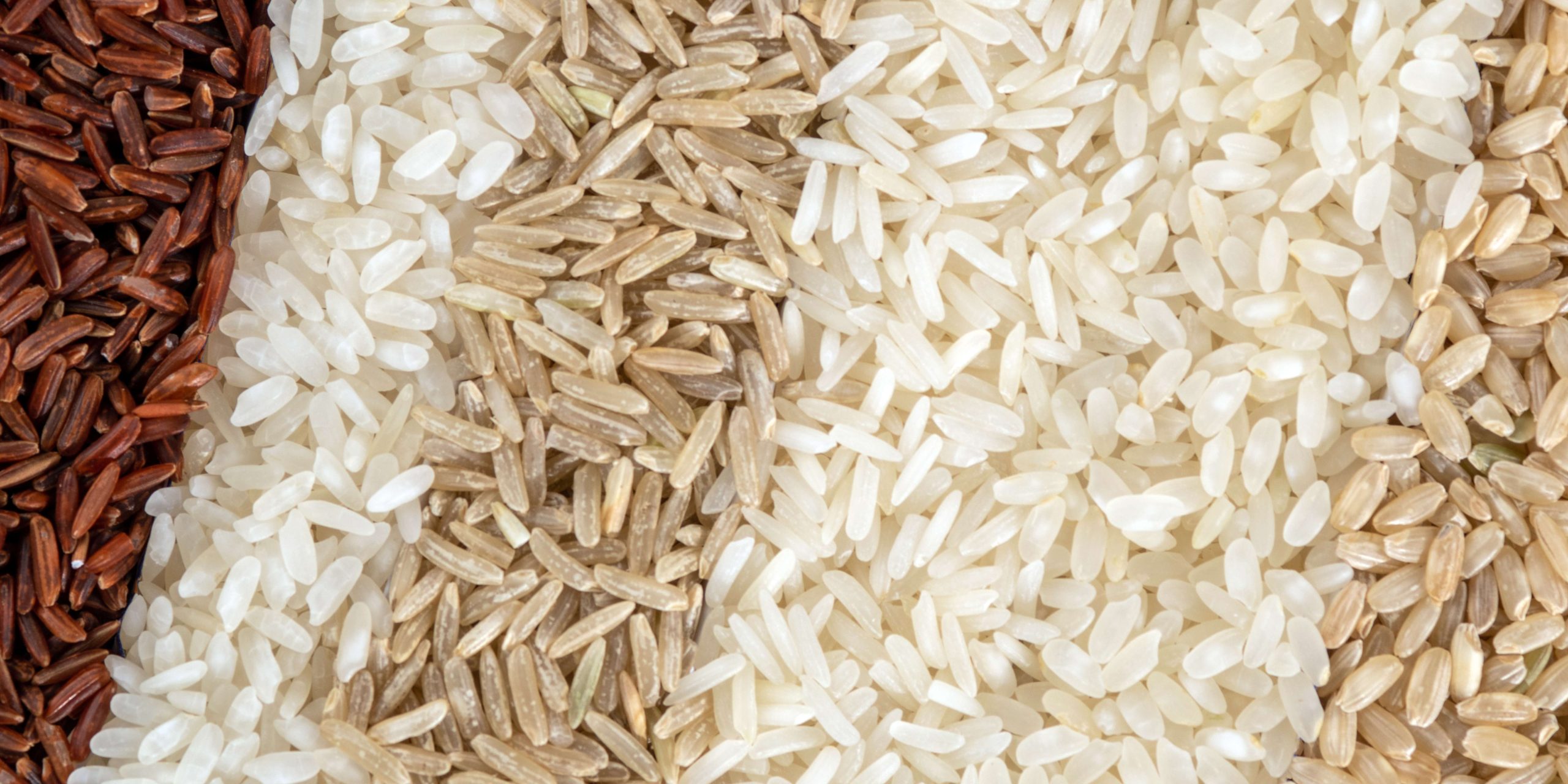 Bulk Basmati rice supplier from India for international importersm specially for Africa, europe , Dubai , quatar