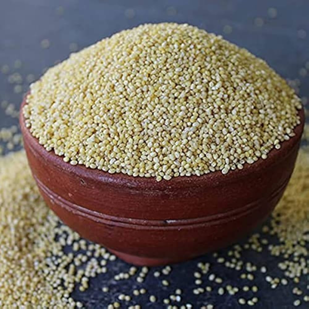 Top-quality Little Millet grains for healthy food export worldwide