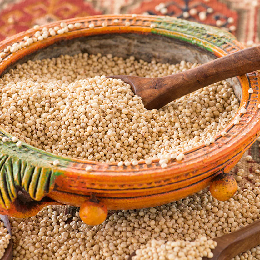 Export-grade Sorghum Millet (Jowar) grains for global food markets