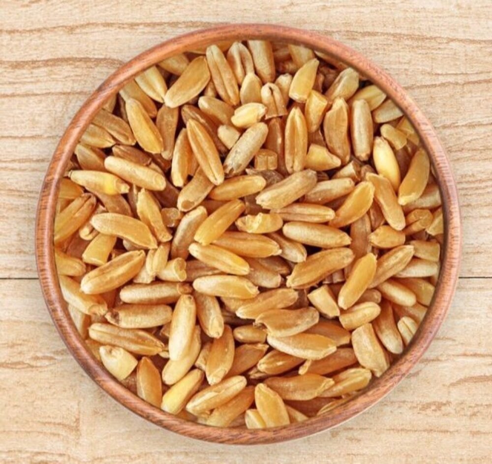 Export-grade Durum wheat grains ideal for pasta production and global supply