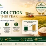 Rice Production in India This Year (2025–26): Trends, Exports and Market Outlook