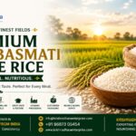 Premium Non-Basmati White Rice Exporter from India